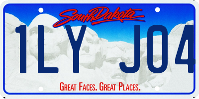 SD license plate 1LYJ04