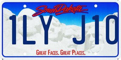 SD license plate 1LYJ10