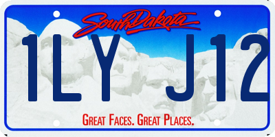 SD license plate 1LYJ12