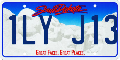 SD license plate 1LYJ13