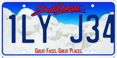 SD license plate 1LYJ34