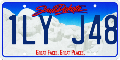 SD license plate 1LYJ48