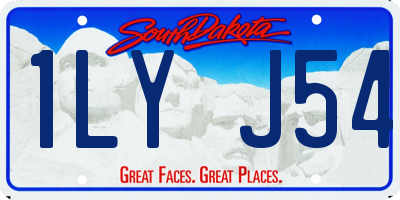 SD license plate 1LYJ54