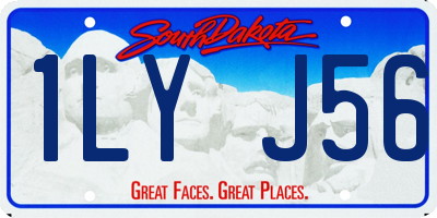 SD license plate 1LYJ56