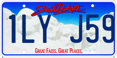 SD license plate 1LYJ59