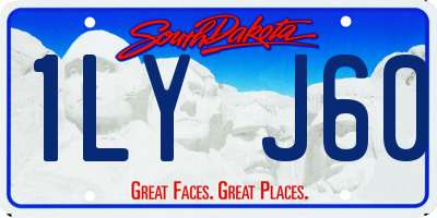 SD license plate 1LYJ60