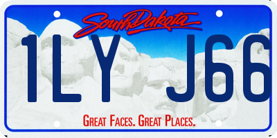 SD license plate 1LYJ66