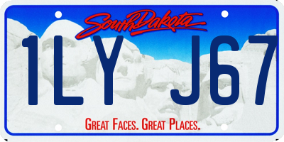 SD license plate 1LYJ67