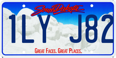 SD license plate 1LYJ82