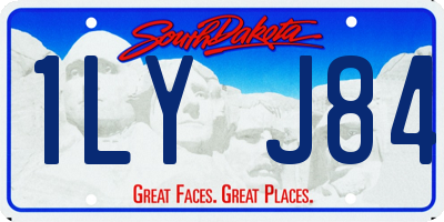 SD license plate 1LYJ84