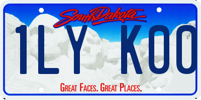 SD license plate 1LYK00