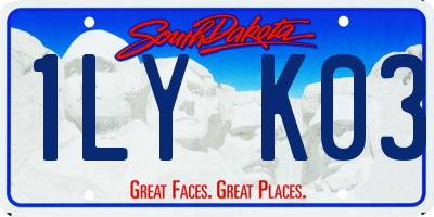 SD license plate 1LYK03