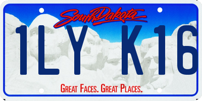 SD license plate 1LYK16