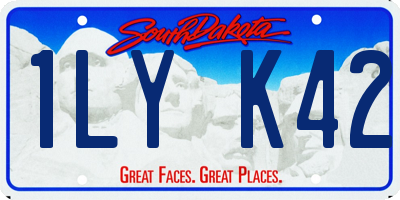 SD license plate 1LYK42