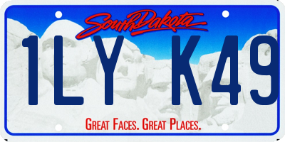 SD license plate 1LYK49