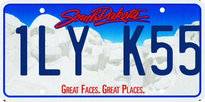 SD license plate 1LYK55