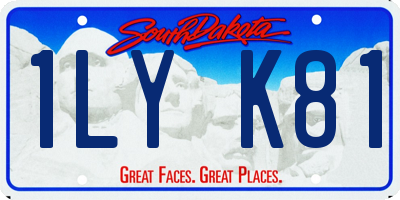 SD license plate 1LYK81