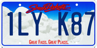 SD license plate 1LYK87