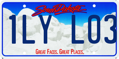 SD license plate 1LYL03