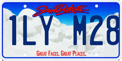 SD license plate 1LYM28