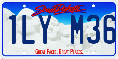SD license plate 1LYM36