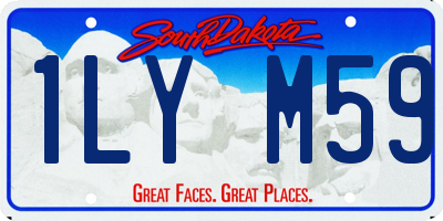 SD license plate 1LYM59