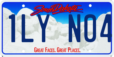 SD license plate 1LYN04