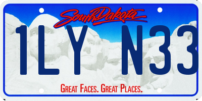 SD license plate 1LYN33
