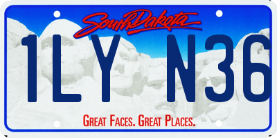 SD license plate 1LYN36