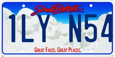SD license plate 1LYN54