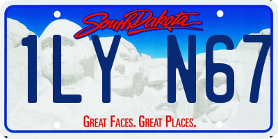 SD license plate 1LYN67