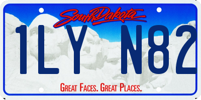 SD license plate 1LYN82