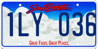 SD license plate 1LYO36