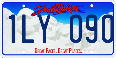 SD license plate 1LYO90