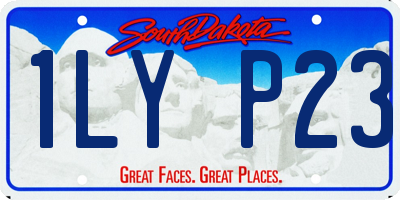SD license plate 1LYP23