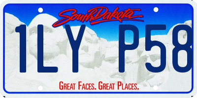 SD license plate 1LYP58