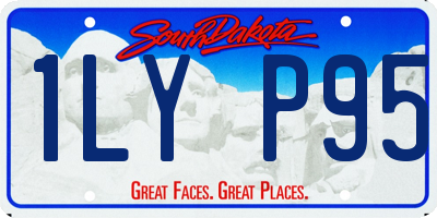 SD license plate 1LYP95