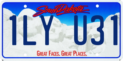 SD license plate 1LYU31