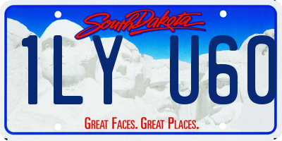 SD license plate 1LYU60