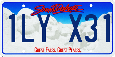 SD license plate 1LYX31
