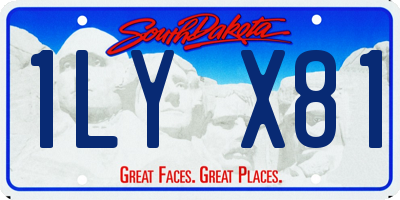 SD license plate 1LYX81