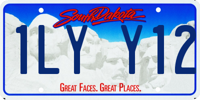 SD license plate 1LYY12