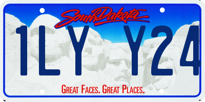 SD license plate 1LYY24