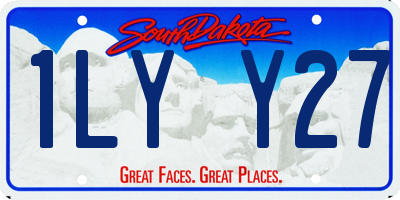 SD license plate 1LYY27