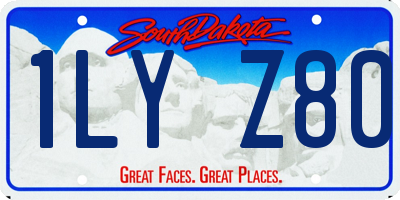 SD license plate 1LYZ80