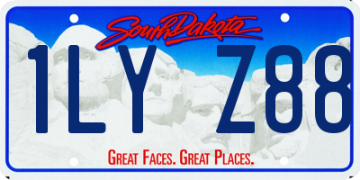 SD license plate 1LYZ88