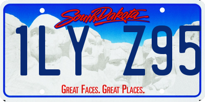 SD license plate 1LYZ95