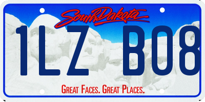 SD license plate 1LZB08