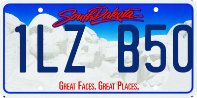 SD license plate 1LZB50