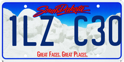 SD license plate 1LZC30